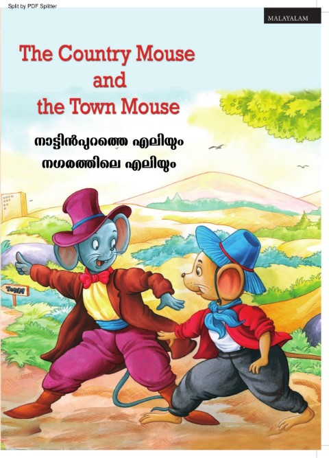 The Country Mouse and the Town mouse